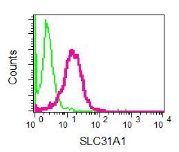 Flow cytometry of HeLa cells using anti-CTR1 antibody (red)or a rabbit IgG (negative) (green).