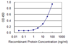 Detection limit for recombinant GST tagged SLC3A1 is 0.3 ng/ml as a capture antibody.