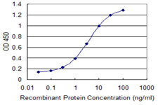 Detection limit for recombinant GST tagged SLC6A11 is 0.1 ng/ml as a capture antibody.