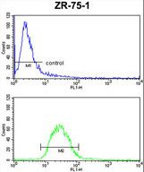 PTGER2 Antibody FC of ZR-75-1 cells (bottom histogram) compared to a negative control cell (top histogram). FITC-conjugated goat-anti-rabbit secondary antibodies were used for the analysis.