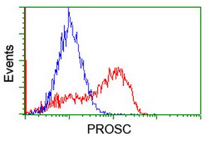 HEK293T cells transfected with either overexpress plasmid (Red) or empty vector control plasmid (Blue) were immunostained by anti-PROSC antibody, and then analyzed by flow cytometry.