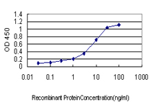 Detection limit for recombinant GST tagged SLC9A1 is approximately 0.3 ng/ml as a capture antibody.