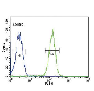 SLC9A3R1 Antibody flow cytometry of MDA-MB435 cells (right histogram) compared to a negative control cell (left histogram). FITC-conjugated goat-anti-rabbit secondary antibodies were used for the analysis.