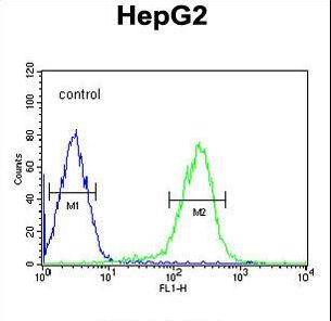 SMAD6 Antibody flow cytometry of HepG2 cells (right histogram) compared to a negative control cell (left histogram). FITC-conjugated goat-anti-rabbit secondary antibodies were used for the analysis.