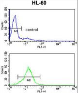 HIP116A Antibody flow cytometry of HL-60 cells (bottom histogram) compared to a negative control cell (top histogram). FITC-conjugated goat-anti-rabbit secondary antibodies were used for the analysis.
