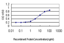 Detection limit for recombinant GST tagged SMC6L1 is approximately 0.3 ng/ml as a capture antibody.