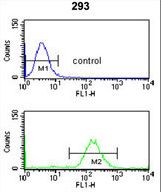 SMNDC1 Antibody flow cytometry of 293 cells (bottom histogram) compared to a negative control cell (top histogram). FITC-conjugated goat-anti-rabbit secondary antibodies were used for the analysis.