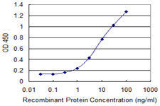 Detection limit for recombinant GST tagged SMO is 0.1 ng/ml as a capture antibody.
