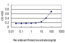 Detection limit for recombinant GST tagged SMPD2 is approximately 10 ng/ml as a capture antibody.