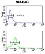 SMPD2 Antibody flow cytometry of NCI-H460 cells (bottom histogram) compared to a negative control cell (top histogram). FITC-conjugated goat-anti-rabbit secondary antibodies were used for the analysis.