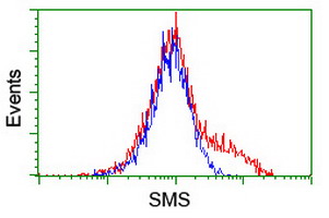 HEK293T cells transfected with either overexpress plasmid (Red) or empty vector control plasmid (Blue) were immunostained by anti-SMS antibody, and then analyzed by flow cytometry.