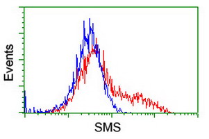 HEK293T cells transfected with either overexpress plasmid (Red) or empty vector control plasmid (Blue) were immunostained by anti-SMS antibody, and then analyzed by flow cytometry.