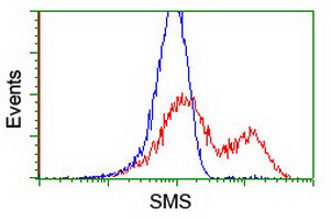 HEK293T cells transfected with either overexpress plasmid (Red) or empty vector control plasmid (Blue) were immunostained by anti-SMS antibody, and then analyzed by flow cytometry.