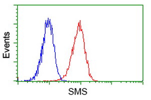 Flow cytometry of Jurkat cells, using anti-SMS antibody (Red), compared to a nonspecific negative control antibody (Blue).