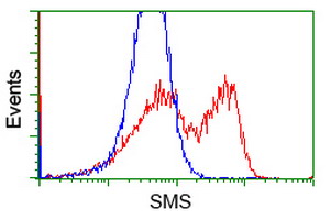 HEK293T cells transfected with either overexpress plasmid (Red) or empty vector control plasmid (Blue) were immunostained by anti-SMS antibody, and then analyzed by flow cytometry.