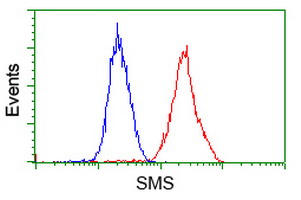 Flow cytometry of HeLa cells, using anti-SMS antibody (Red), compared to a nonspecific negative control antibody (Blue).