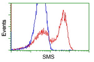HEK293T cells transfected with either overexpress plasmid (Red) or empty vector control plasmid (Blue) were immunostained by anti-SMS antibody, and then analyzed by flow cytometry.