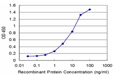 Detection limit for recombinant GST tagged SNAI2 is approximately 0.3 ng/ml as a capture antibody.