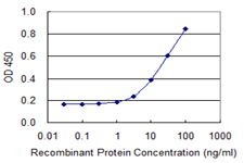 Detection limit for recombinant GST tagged SNRPB2 is 1 ng/ml as a capture antibody.