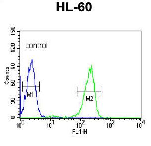 SNRPD1 Antibody flow cytometry of HL-60 cells (right histogram) compared to a negative control cell (left histogram). FITC-conjugated goat-anti-rabbit secondary antibodies were used for the analysis.