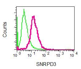 Flow cytometry of permeabilized 293T cells using anti-SNRPD3 antibody (red)or a rabbit IgG (negative) (green).