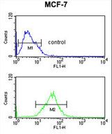 SNRPD3 Antibody flow cytometry of MCF-7 cells (bottom histogram) compared to a negative control cell (top histogram). FITC-conjugated goat-anti-rabbit secondary antibodies were used for the analysis.