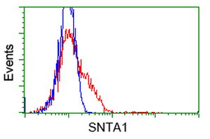 HEK293T cells transfected with either overexpress plasmid (Red) or empty vector control plasmid (Blue) were immunostained by anti-SNTA1 antibody, and then analyzed by flow cytometry.