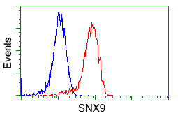 Flow cytometry of Jurkat cells, using anti-SNX9 antibody, (Red), compared to a nonspecific negative control antibody, (Blue).