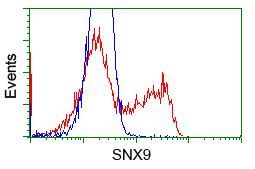 HEK293T cells transfected with either overexpress plasmid (Red) or empty vector control plasmid (Blue) were immunostained by anti-SNX9 antibody, and then analyzed by flow cytometry.