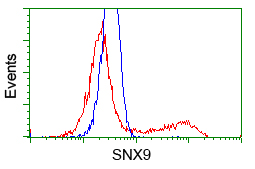 HEK293T cells transfected with either overexpress plasmid (Red) or empty vector control plasmid (Blue) were immunostained by anti-SNX9 antibody, and then analyzed by flow cytometry.