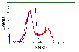 HEK293T cells transfected with either overexpress plasmid (Red) or empty vector control plasmid (Blue) were immunostained by anti-SNX9 antibody, and then analyzed by flow cytometry.
