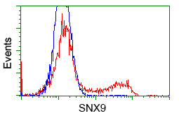 HEK293T cells transfected with either overexpress plasmid (Red) or empty vector control plasmid (Blue) were immunostained by anti-SNX9 antibody, and then analyzed by flow cytometry.