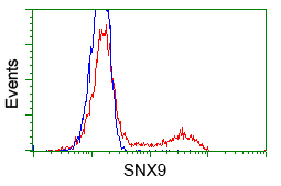 HEK293T cells transfected with either overexpress plasmid (Red) or empty vector control plasmid (Blue) were immunostained by anti-SNX9 antibody, and then analyzed by flow cytometry.
