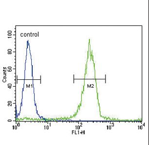SOCS1 Antibody flow cytometry of WiDr cells (right histogram) compared to a negative control cell (left histogram). FITC-conjugated goat-anti-rabbit secondary antibodies were used for the analysis.