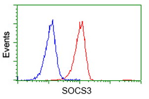 Flow cytometry of Jurkat cells, using anti-SOCS3 antibody (Red), compared to a nonspecific negative control antibody (Blue).