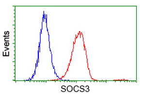 Flow cytometry of HeLa cells, using anti-SOCS3 antibody (Red), compared to a nonspecific negative control antibody (Blue).