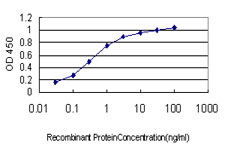 Detection limit for recombinant GST tagged SOCS5 is approximately 0.03 ng/ml as a capture antibody.