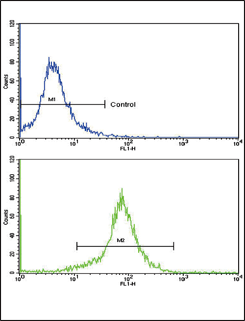 Flow cytometric of K562 cells using SOD3 Antibody (bottom histogram) compared to a negative control cell (top histogram). FITC-conjugated goat-anti-rabbit secondary antibodies were used for the analysis.