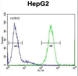 SOHLH1 Antibody flow cytometry of HepG2 cells (right histogram) compared to a negative control cell (left histogram). FITC-conjugated goat-anti-rabbit secondary antibodies were used for the analysis.