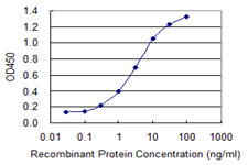 Detection limit for recombinant GST tagged SOX12 is 0.1 ng/ml as a capture antibody.