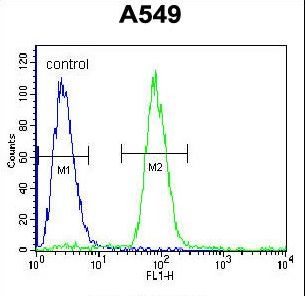 SOX3 Antibody (Center P204) flow cytometry of A549 cells (right histogram) compared to a negative control cell (left histogram). FITC-conjugated goat-anti-rabbit secondary antibodies were used for the analysis.