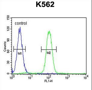 SP1 Antibody (C-term P692) flow cytometry of K562 cells (right histogram) compared to a negative control cell (left histogram). FITC-conjugated goat-anti-rabbit secondary antibodies were used for the analysis.
