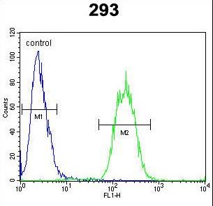 SACA1 Antibody flow cytometry of 293 cells (right histogram) compared to a negative control cell (left histogram). FITC-conjugated goat-anti-rabbit secondary antibodies were used for the analysis.