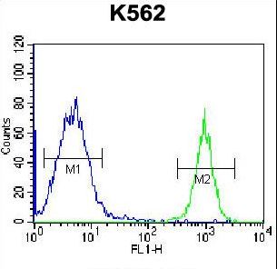 PTMS Antibody flow cytometry of K562 cells (right histogram) compared to a negative control cell (left histogram). FITC-conjugated goat-anti-rabbit secondary antibodies were used for the analysis.