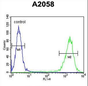 PTMS Antibody flow cytometry of A2058 cells (right histogram) compared to a negative control cell (left histogram). FITC-conjugated goat-anti-rabbit secondary antibodies were used for the analysis.