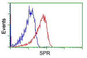Flow cytometry of HeLa cells, using anti-SPR antibody, (Red), compared to a nonspecific negative control antibody, (Blue).
