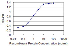 Detection limit for recombinant GST tagged SFRS3 is 0.03 ng/ml as a capture antibody.