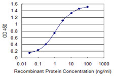Detection limit for recombinant GST tagged PTP4A2 is 0.03 ng/ml as a capture antibody.