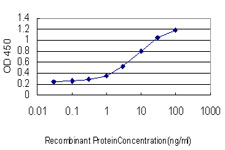 Detection limit for recombinant GST tagged SSBP1 is approximately 0.3 ng/ml as a capture antibody.