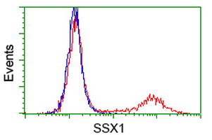 HEK293T cells transfected with either overexpress plasmid (Red) or empty vector control plasmid (Blue) were immunostained by anti-SSX1 antibody, and then analyzed by flow cytometry.